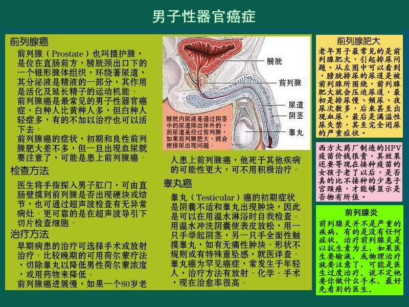 three.jpg - 4096 Bytes