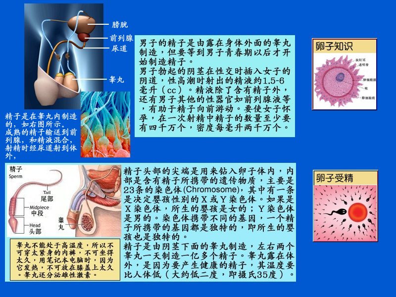 one.jpg - 4096 Bytes