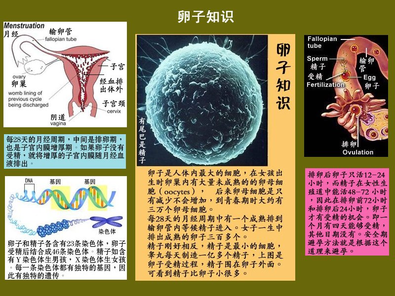 two.jpg - 4096 Bytes