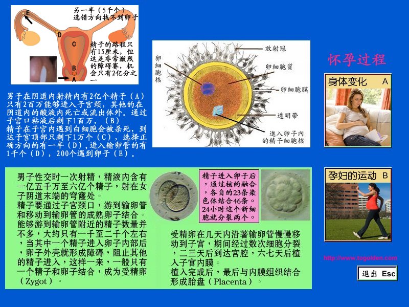 one.jpg - 4096 Bytes