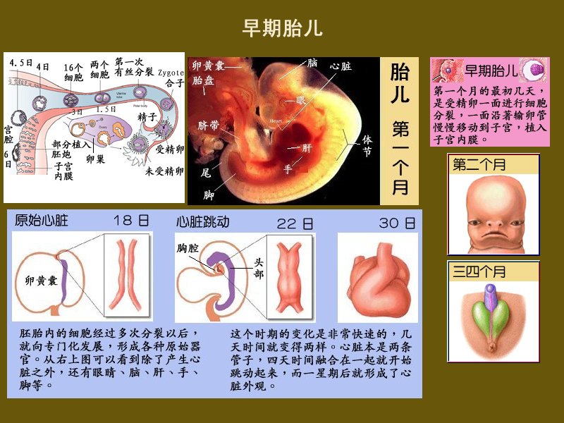 one.jpg - 4096 Bytes