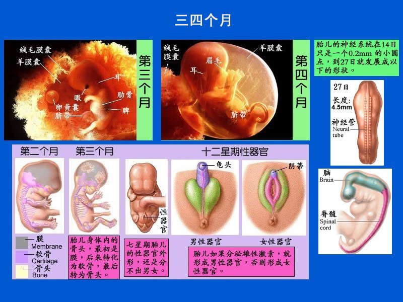 three.jpg - 4096 Bytes