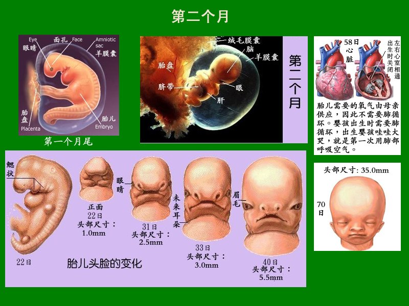 two.jpg - 4096 Bytes