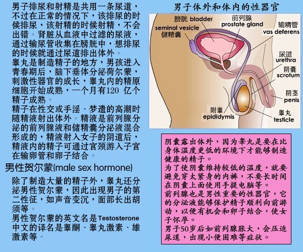 four.jpg - 4096 Bytes