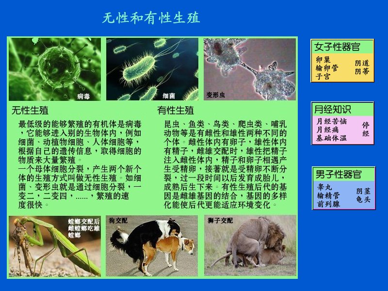 one.jpg - 4096 Bytes