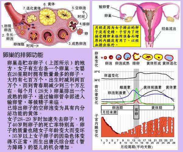 three.jpg - 4096 Bytes