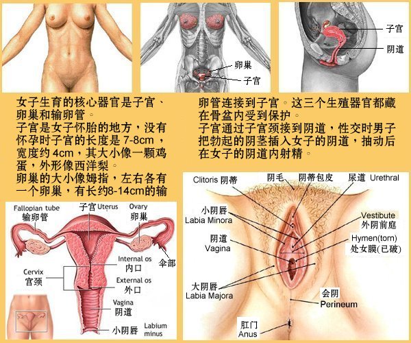 two.jpg - 4096 Bytes