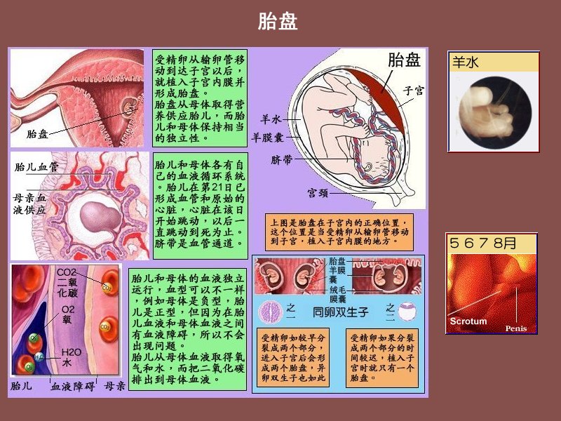 one.jpg - 4096 Bytes