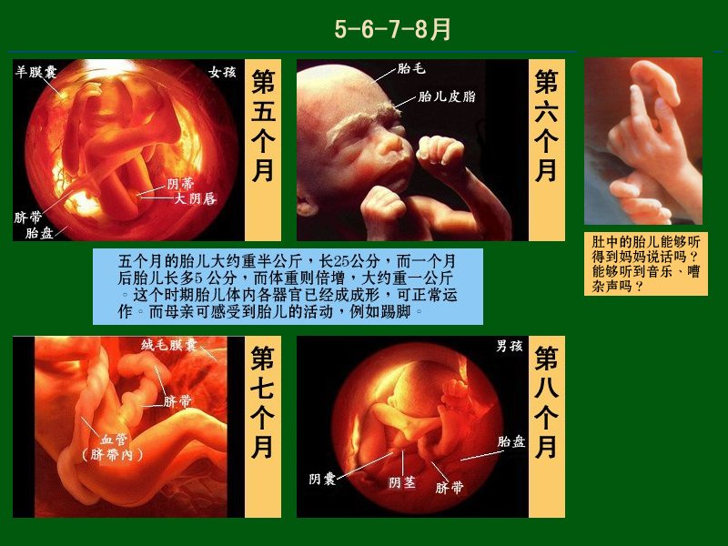 three.jpg - 4096 Bytes