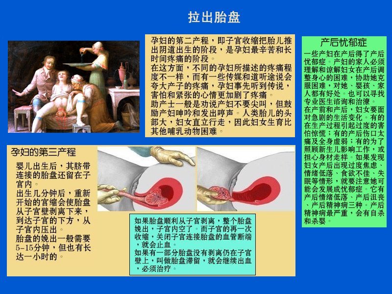 three.jpg - 4096 Bytes