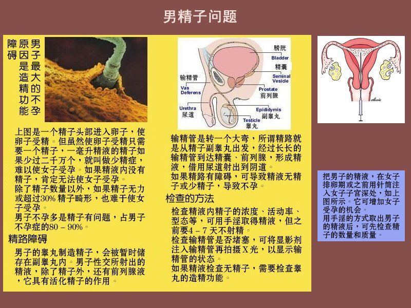 three.jpg - 4096 Bytes