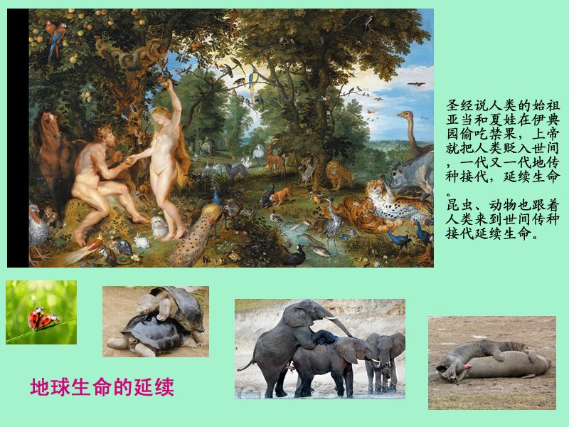 three.jpg - 4096 Bytes