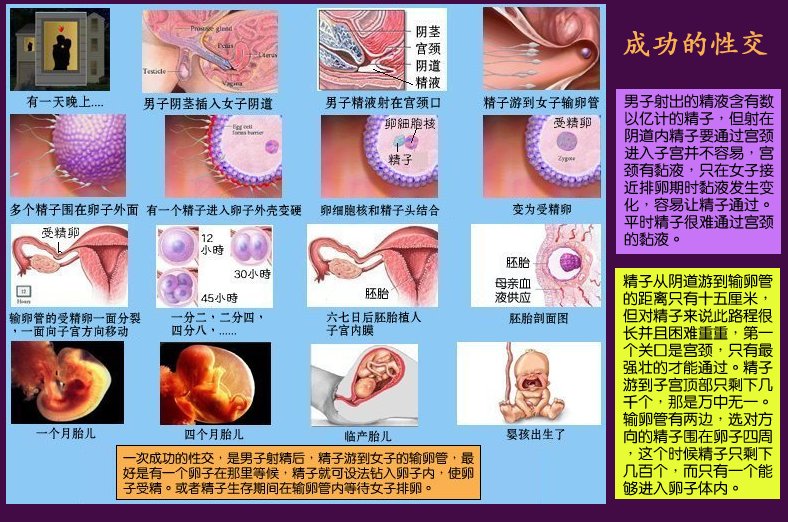 two.jpg - 4096 Bytes