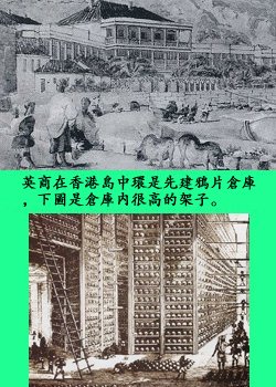 pig1.jpg - 2037 Bytes