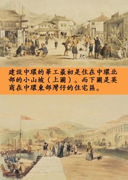 pig2.jpg - 2037 Bytes