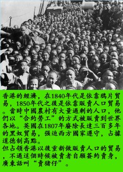 pig5.jpg - 2037 Bytes