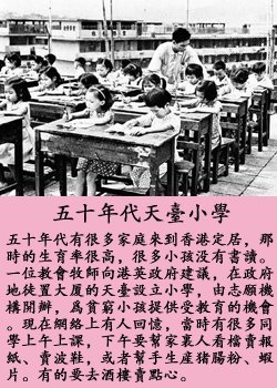 pig8.jpg - 2037 Bytes