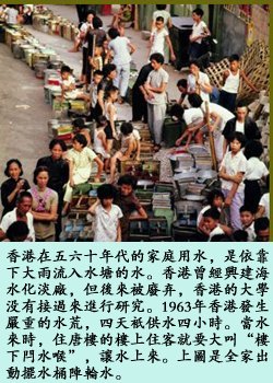 pig9.jpg - 2037 Bytes