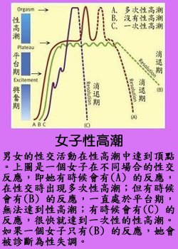 pig11.jpg - 2037 Bytes