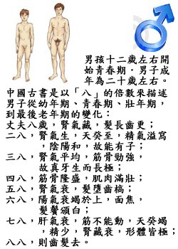 pig4.jpg - 2037 Bytes