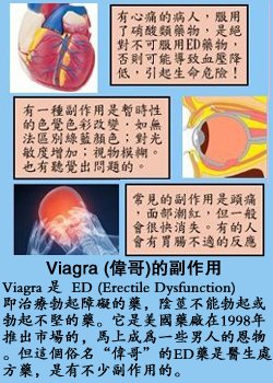 pig8.jpg - 2037 Bytes