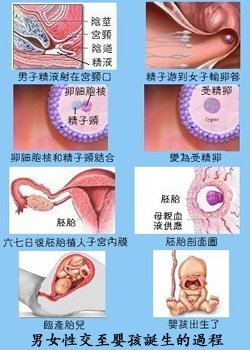 pig9.jpg - 2037 Bytes