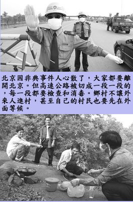 pig11.jpg - 4096 Bytes