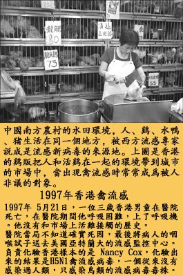 pig4.jpg - 4096 Bytes