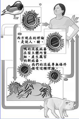 pig5.jpg - 4096 Bytes