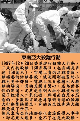 pig6.jpg - 4096 Bytes