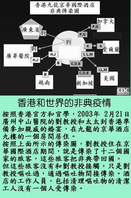 pig8.jpg - 4096 Bytes