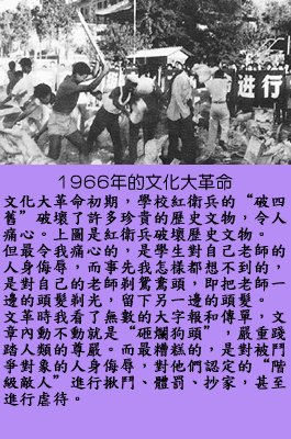 pig10.jpg - 4096 Bytes