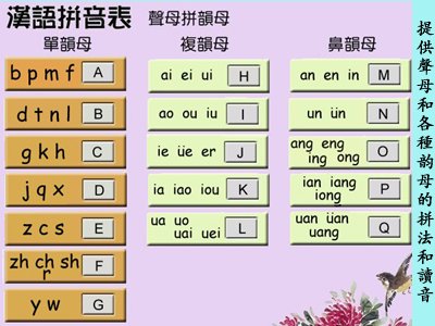 pig5.jpg - 4000 Bytes