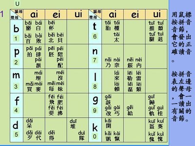 pig6.jpg - 4000 Bytes